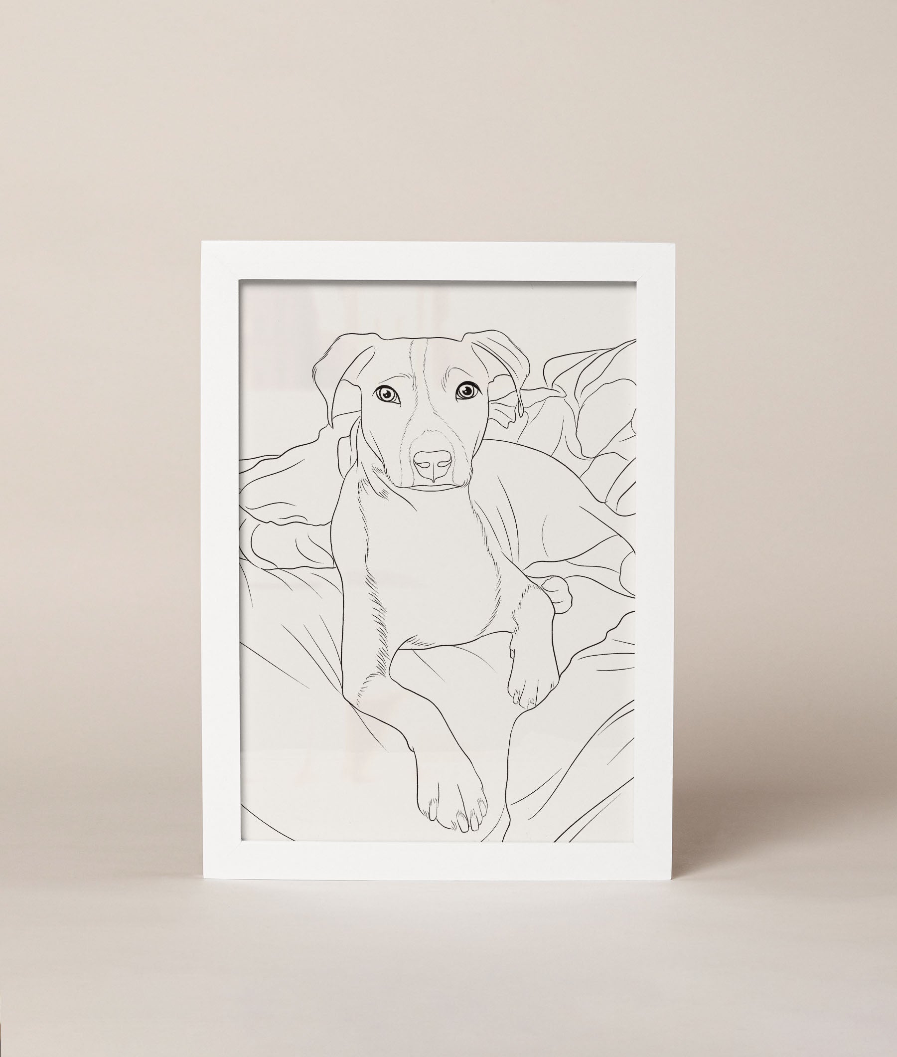 איור ממוסגר של חיית מחמד ממוסגר מבית וויט ספייס white space